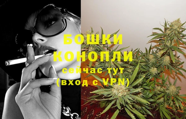 apvp Бородино