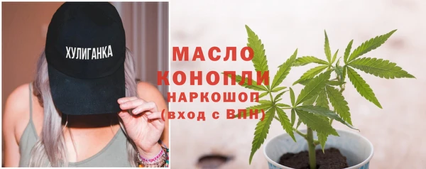 apvp Бородино