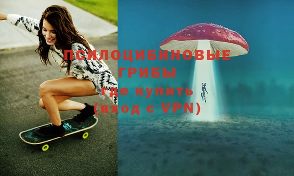apvp Бородино