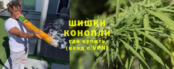 apvp Бородино