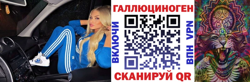 гидра как войти  где найти   Ессентуки  Псилоцибиновые грибы Cubensis 